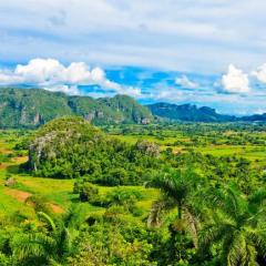 shutterstock_86722891 The Vinales valley in Cuba, a famous tourist destination and a major tobacco growing area.jpg
